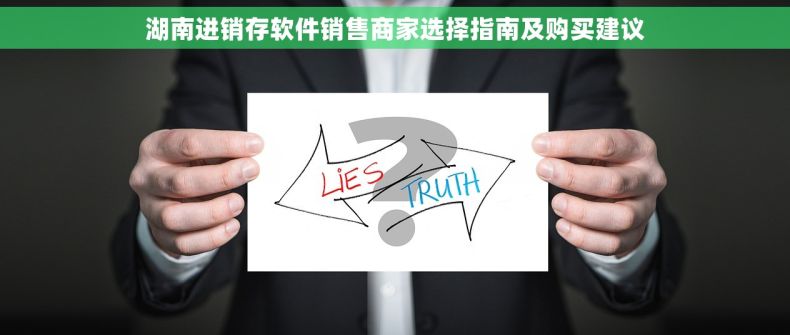 湖南进销存软件销售商家选择指南及购买建议