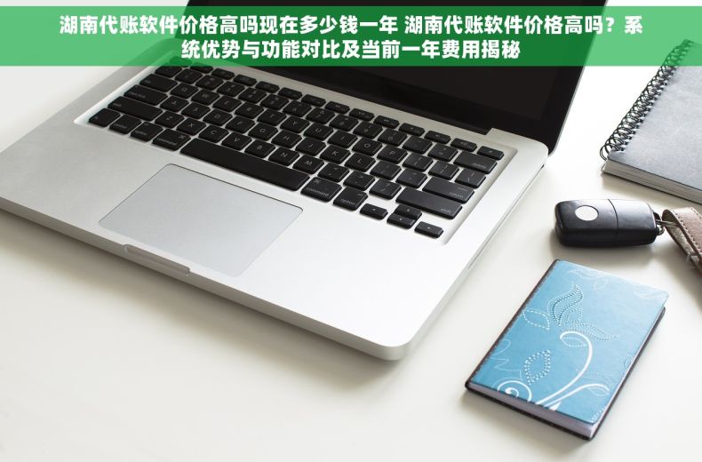 湖南代账软件价格高吗现在多少钱一年 湖南代账软件价格高吗？系统优势与功能对比及当前一年费用揭秘