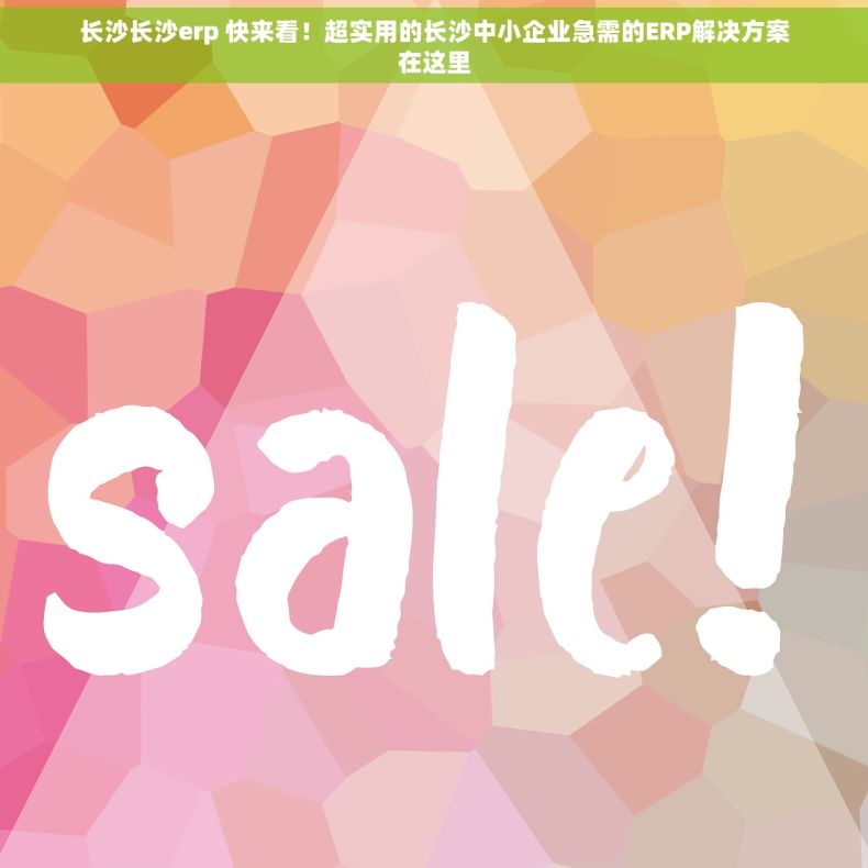 长沙长沙erp 快来看！超实用的长沙中小企业急需的ERP解决方案在这里