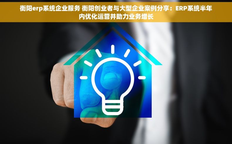 衡阳erp系统企业服务 衡阳创业者与大型企业案例分享：ERP系统半年内优化运营并助力业务增长