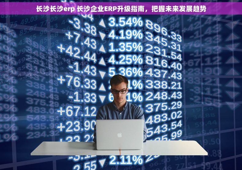 长沙长沙erp 长沙企业ERP升级指南，把握未来发展趋势