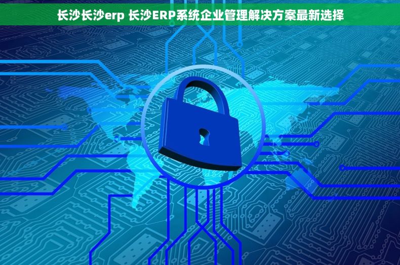 长沙长沙erp 长沙ERP系统企业管理解决方案最新选择