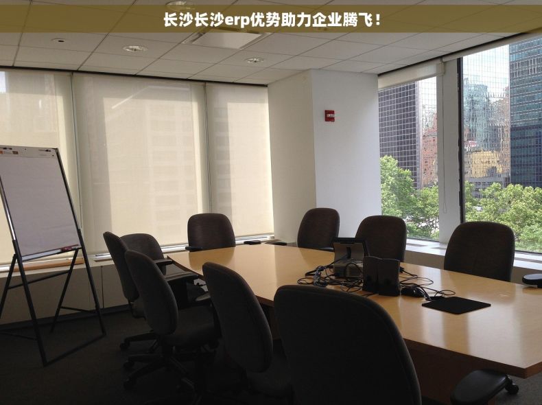 长沙长沙erp优势助力企业腾飞！