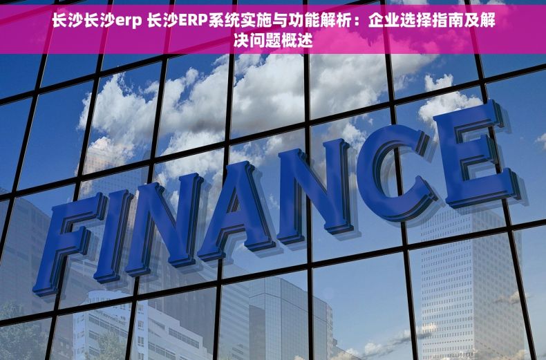 长沙长沙erp 长沙ERP系统实施与功能解析：企业选择指南及解决问题概述