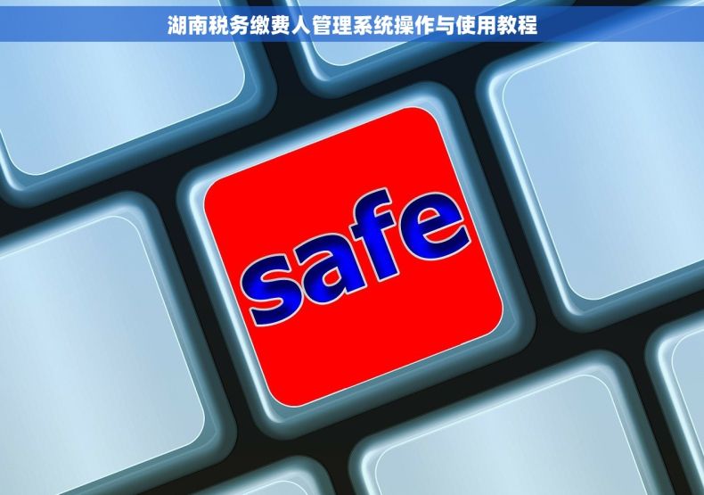 湖南税务缴费人管理系统操作与使用教程