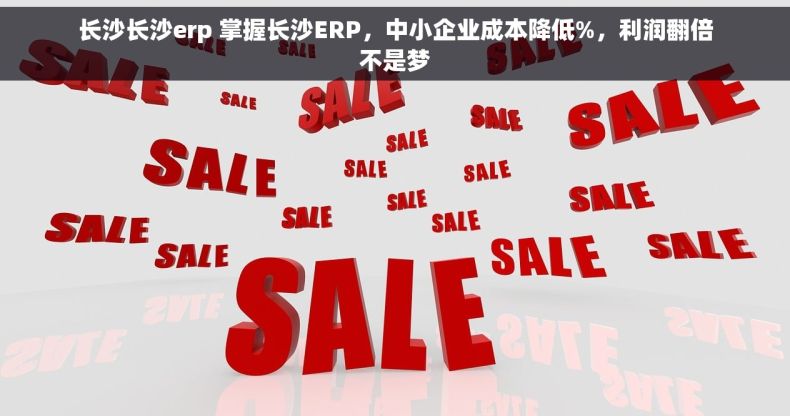 长沙长沙erp 掌握长沙ERP，中小企业成本降低%，利润翻倍不是梦
