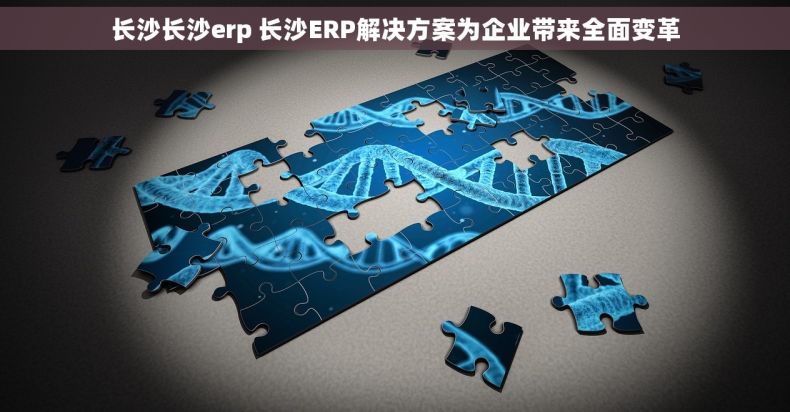 长沙长沙erp 长沙ERP解决方案为企业带来全面变革