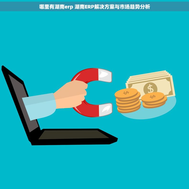 哪里有湖南erp 湖南ERP解决方案与市场趋势分析