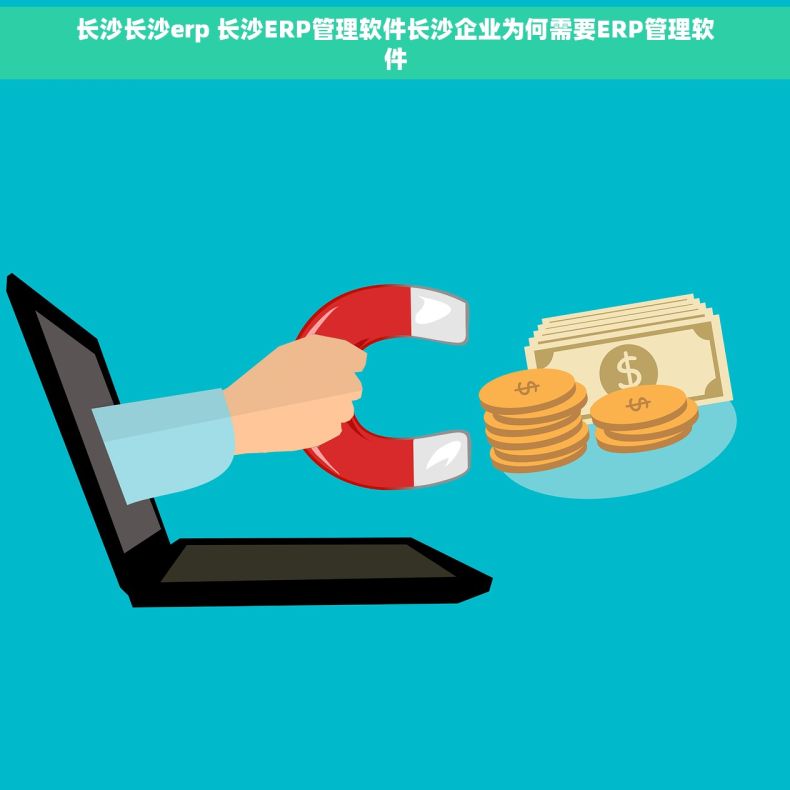 长沙长沙erp 长沙ERP管理软件长沙企业为何需要ERP管理软件