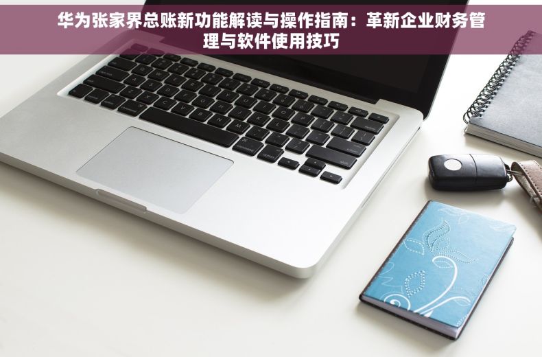 华为张家界总账新功能解读与操作指南：革新企业财务管理与软件使用技巧