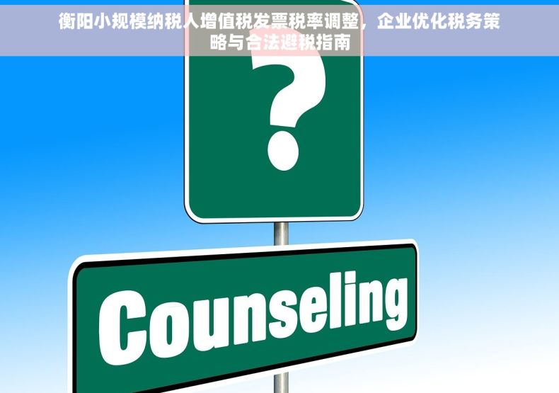 衡阳小规模纳税人增值税发票税率调整，企业优化税务策略与合法避税指南