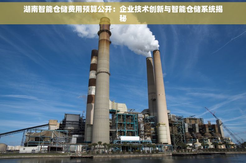 湖南智能仓储费用预算公开：企业技术创新与智能仓储系统揭秘