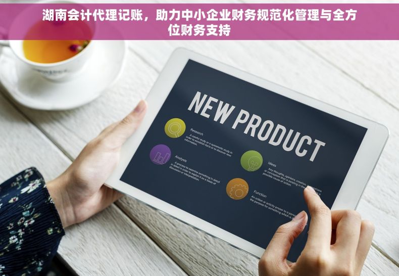 湖南会计代理记账，助力中小企业财务规范化管理与全方位财务支持