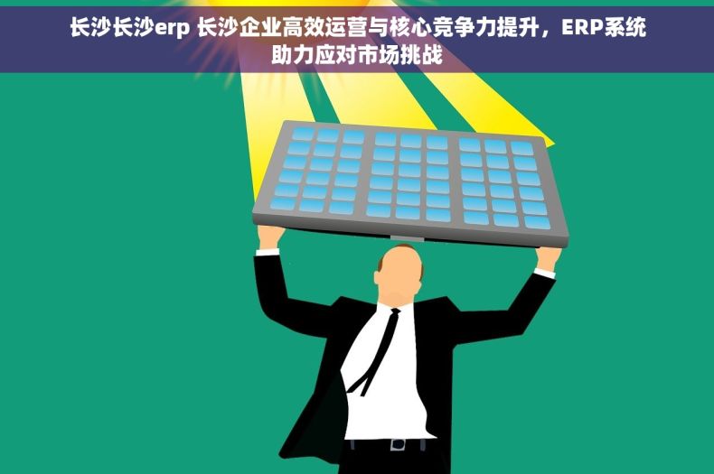 长沙长沙erp 长沙企业高效运营与核心竞争力提升，ERP系统助力应对市场挑战
