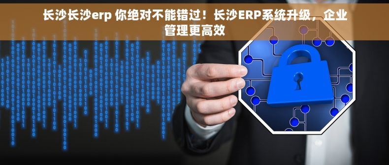 长沙长沙erp 你绝对不能错过！长沙ERP系统升级，企业管理更高效