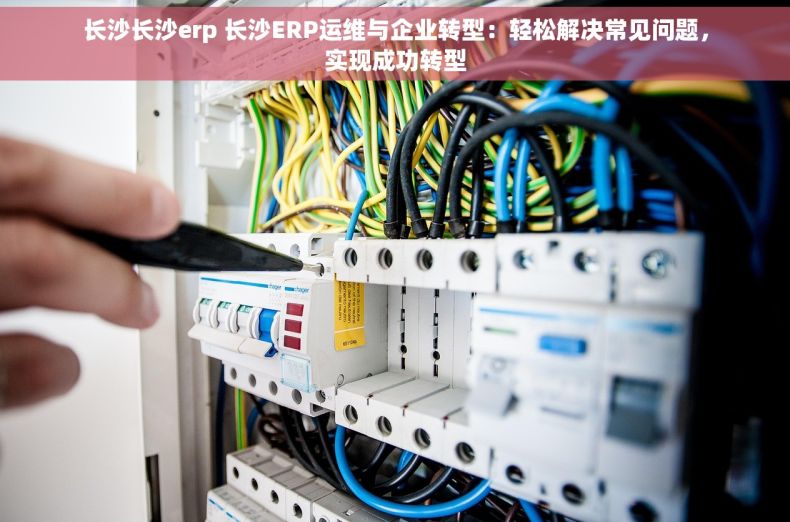长沙长沙erp 长沙ERP运维与企业转型：轻松解决常见问题，实现成功转型