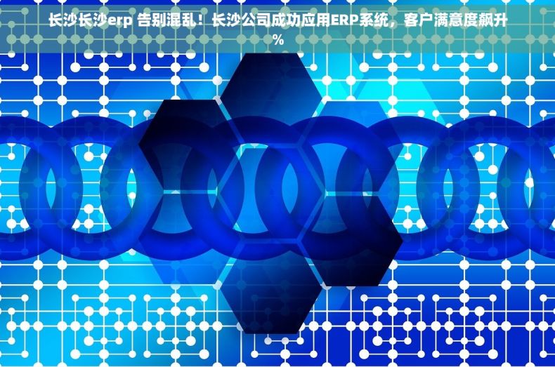 长沙长沙erp 告别混乱！长沙公司成功应用ERP系统，客户满意度飙升%