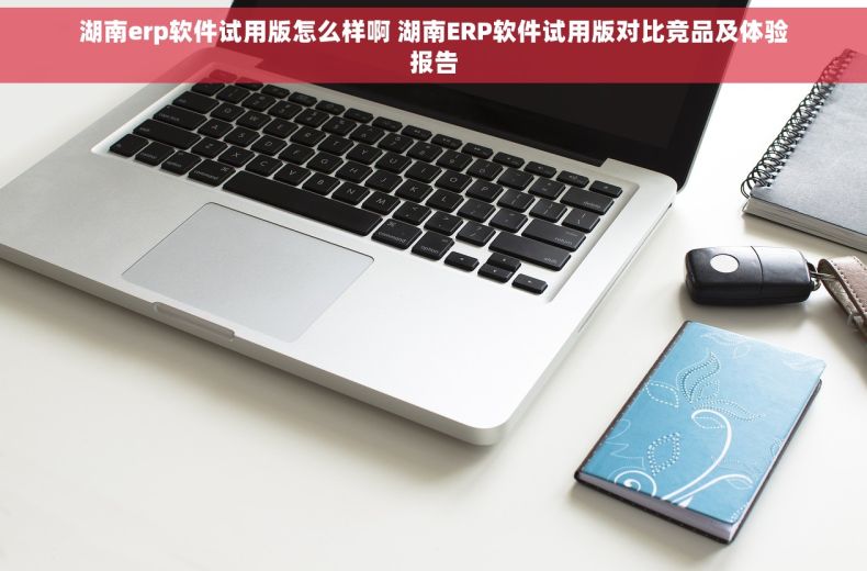 湖南erp软件试用版怎么样啊 湖南ERP软件试用版对比竞品及体验报告