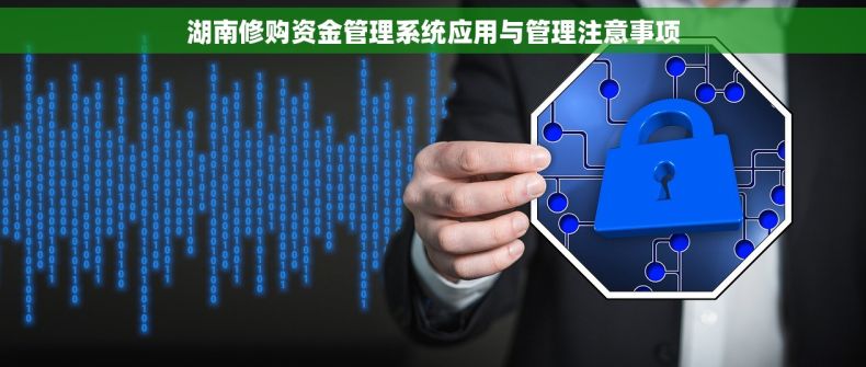 湖南修购资金管理系统应用与管理注意事项