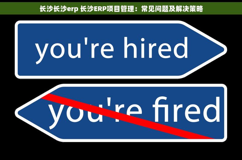 长沙长沙erp 长沙ERP项目管理：常见问题及解决策略