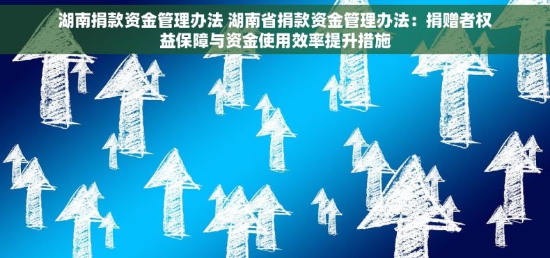 湖南捐款资金管理办法 湖南省捐款资金管理办法：捐赠者权益保障与资金使用效率提升措施