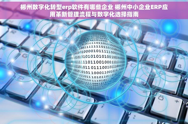 郴州数字化转型erp软件有哪些企业 郴州中小企业ERP应用革新管理流程与数字化选择指南
