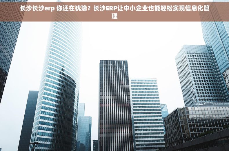 长沙长沙erp 你还在犹豫？长沙ERP让中小企业也能轻松实现信息化管理
