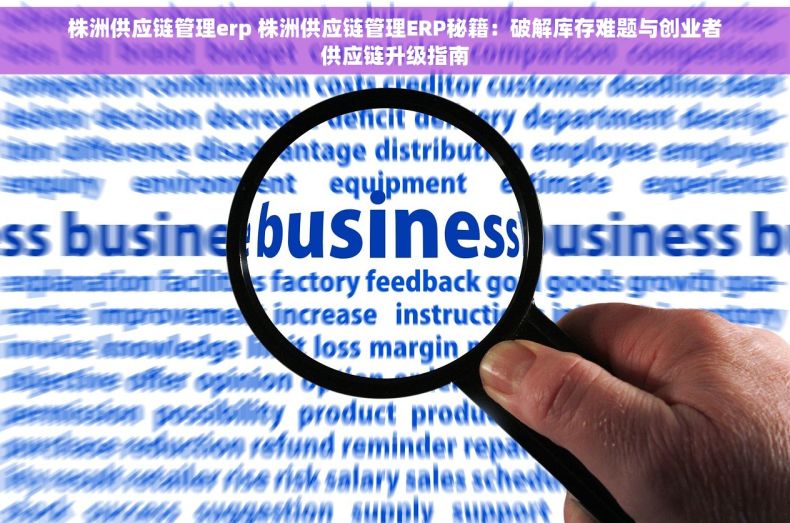 株洲供应链管理erp 株洲供应链管理ERP秘籍：破解库存难题与创业者供应链升级指南