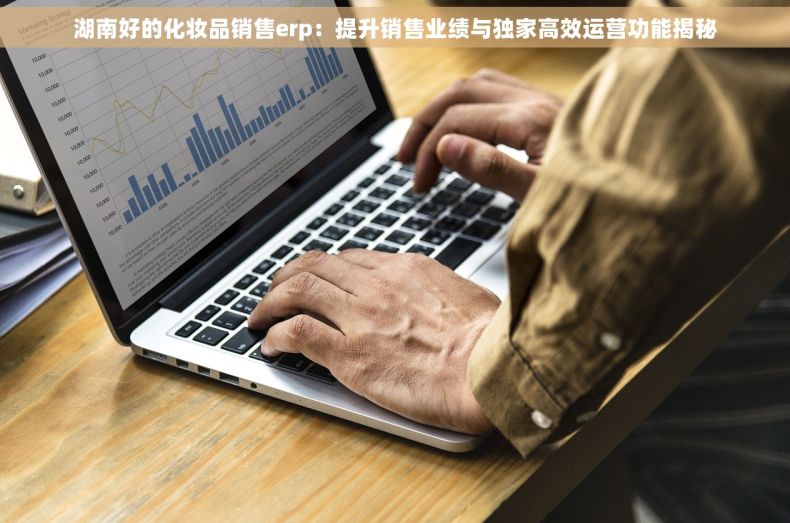 湖南好的化妆品销售erp：提升销售业绩与独家高效运营功能揭秘
