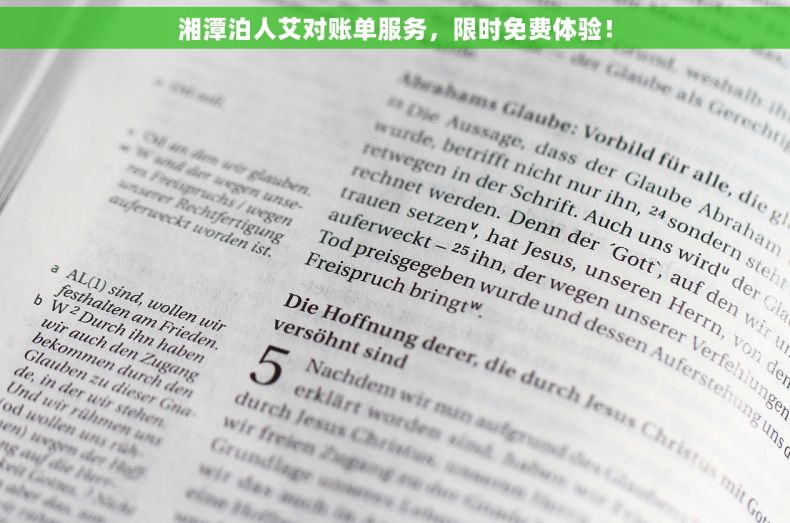 湘潭泊人艾对账单服务，限时免费体验！
