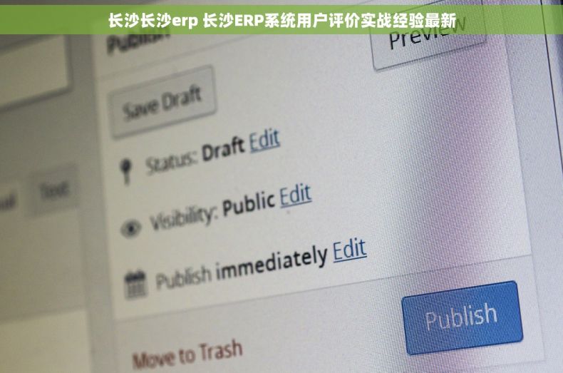 长沙长沙erp 长沙ERP系统用户评价实战经验最新