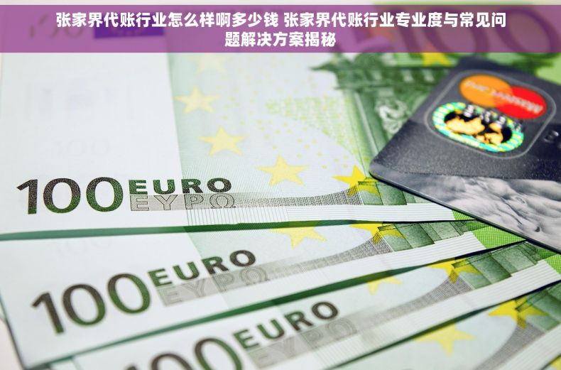 张家界代账行业怎么样啊多少钱 张家界代账行业专业度与常见问题解决方案揭秘