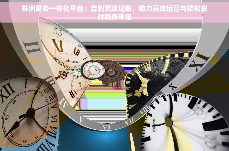 株洲财务一体化平台：告别繁琐记账，助力高效运营与轻松应对税务申报