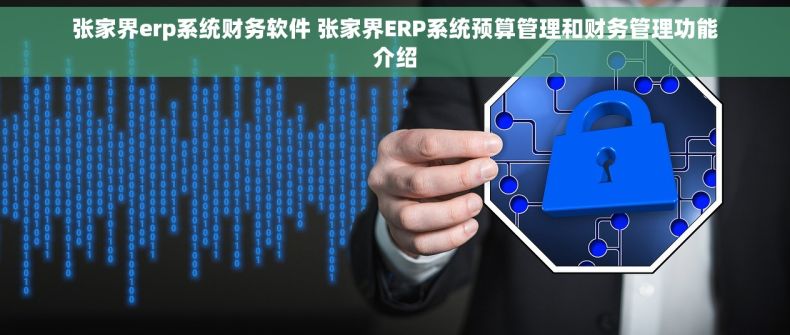 张家界erp系统财务软件 张家界ERP系统预算管理和财务管理功能介绍