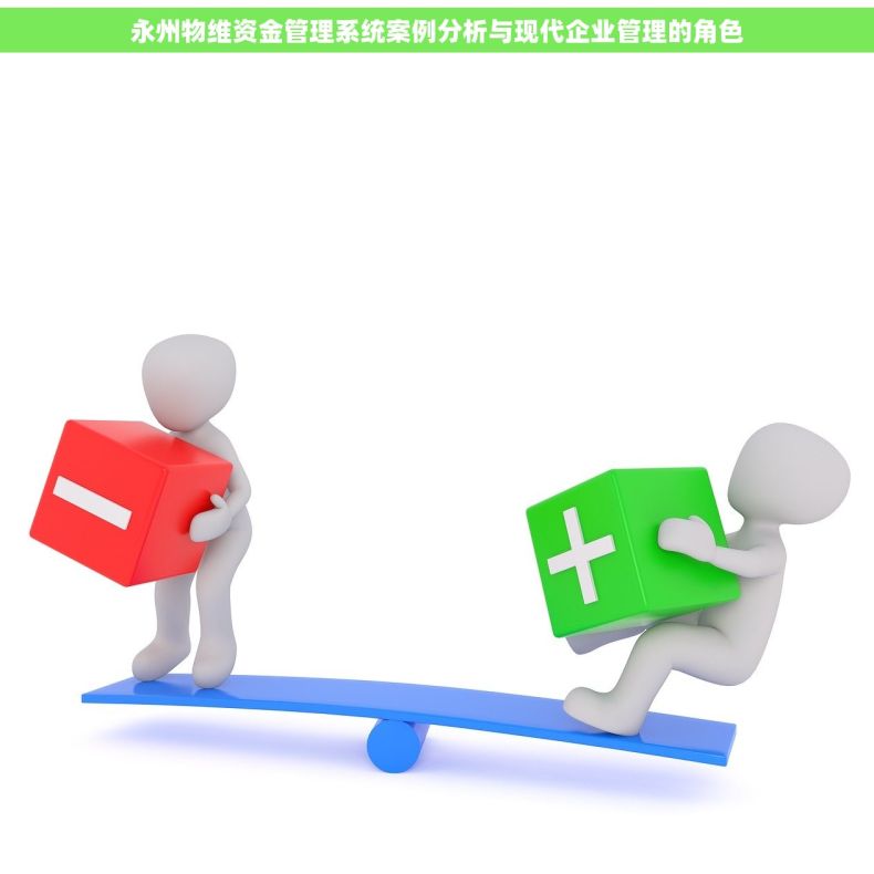永州物维资金管理系统案例分析与现代企业管理的角色