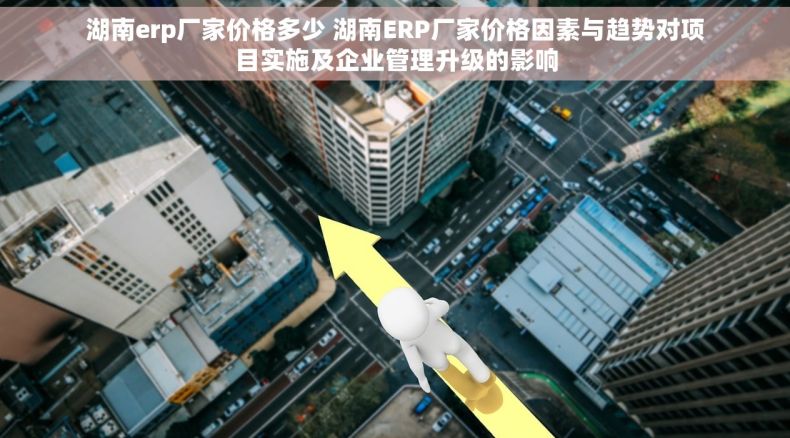 湖南erp厂家价格多少 湖南ERP厂家价格因素与趋势对项目实施及企业管理升级的影响