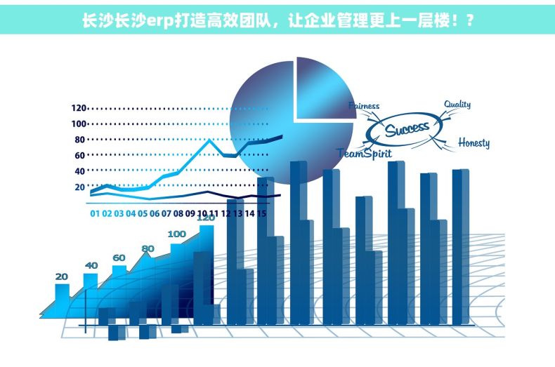 长沙长沙erp打造高效团队，让企业管理更上一层楼！?