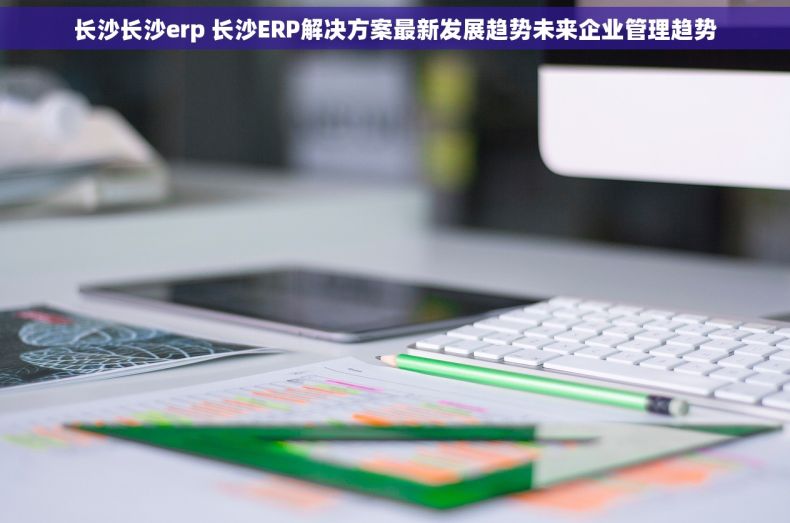 长沙长沙erp 长沙ERP解决方案最新发展趋势未来企业管理趋势