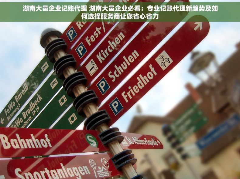 湖南大邑企业记账代理 湖南大邑企业必看：专业记账代理新趋势及如何选择服务商让您省心省力