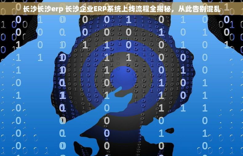 长沙长沙erp 长沙企业ERP系统上线流程全揭秘，从此告别混乱