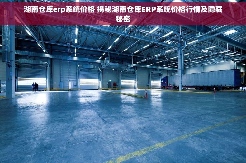 湖南仓库erp系统价格 揭秘湖南仓库ERP系统价格行情及隐藏秘密
