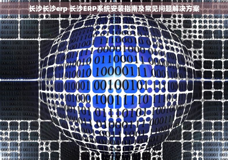 长沙长沙erp 长沙ERP系统安装指南及常见问题解决方案