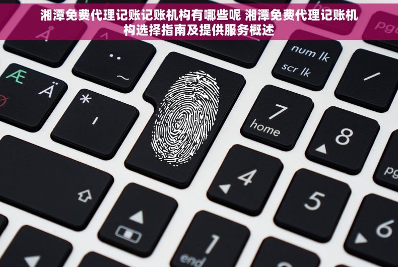 湘潭免费代理记账记账机构有哪些呢 湘潭免费代理记账机构选择指南及提供服务概述