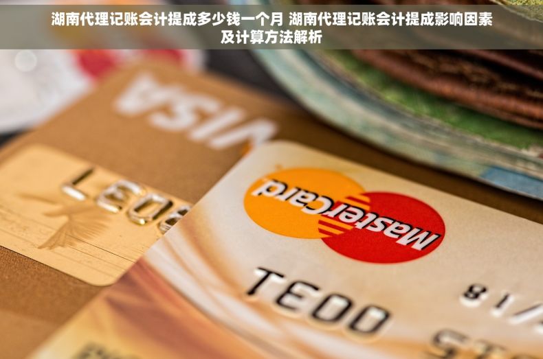 湖南代理记账会计提成多少钱一个月 湖南代理记账会计提成影响因素及计算方法解析