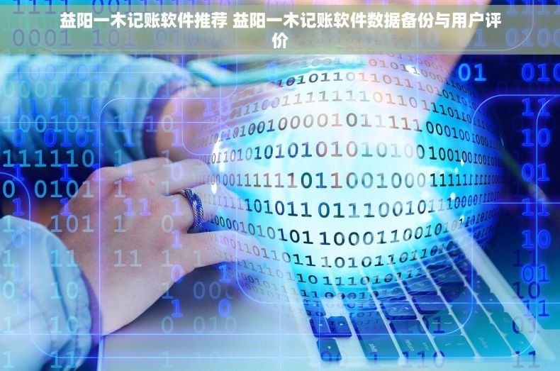 益阳一木记账软件推荐 益阳一木记账软件数据备份与用户评价