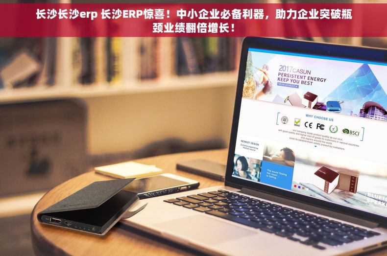 长沙长沙erp 长沙ERP惊喜！中小企业必备利器，助力企业突破瓶颈业绩翻倍增长！