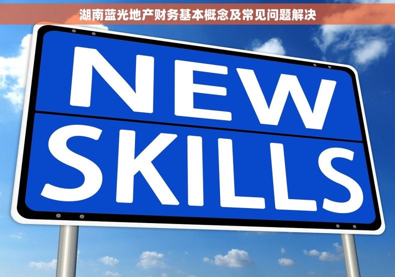 湖南蓝光地产财务基本概念及常见问题解决