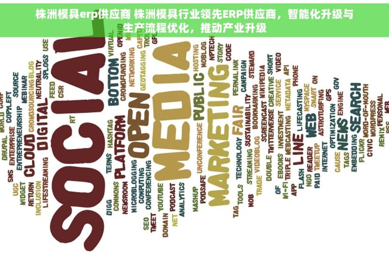 株洲模具erp供应商 株洲模具行业领先ERP供应商，智能化升级与生产流程优化，推动产业升级