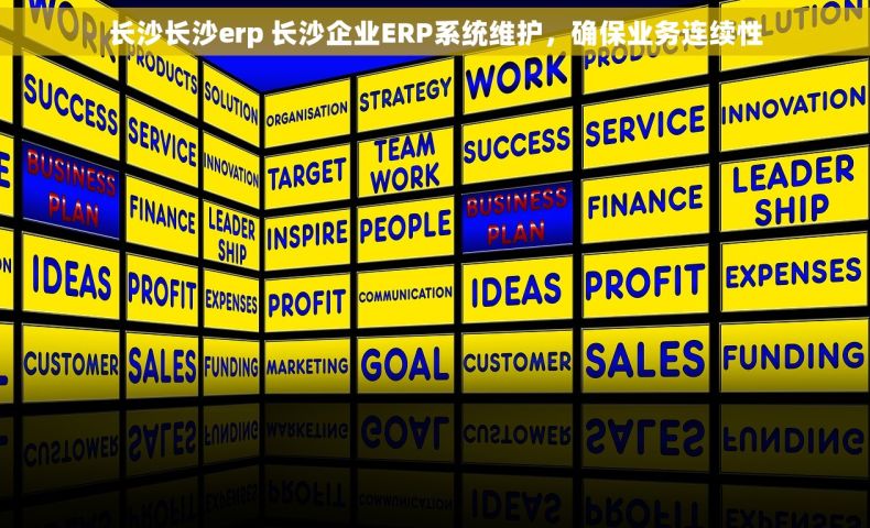长沙长沙erp 长沙企业ERP系统维护，确保业务连续性