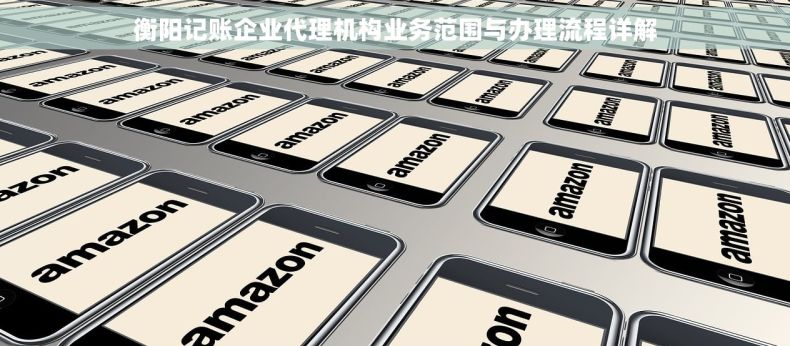 衡阳记账企业代理机构业务范围与办理流程详解